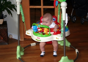 Rainforest Jumperoo by Fisher Price
